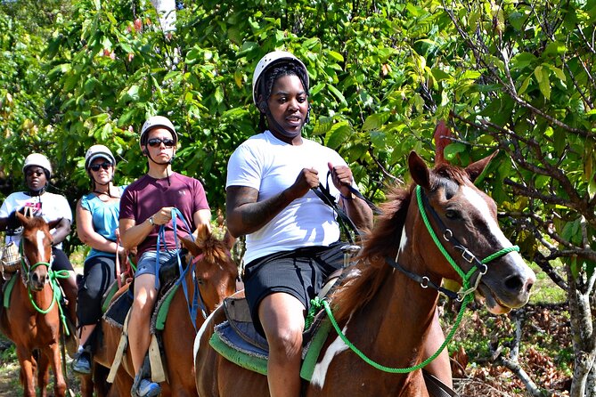 Full-Day La Hacienda Dune Buggy with Zipline & Horseback Activity - Is $99 a good value?