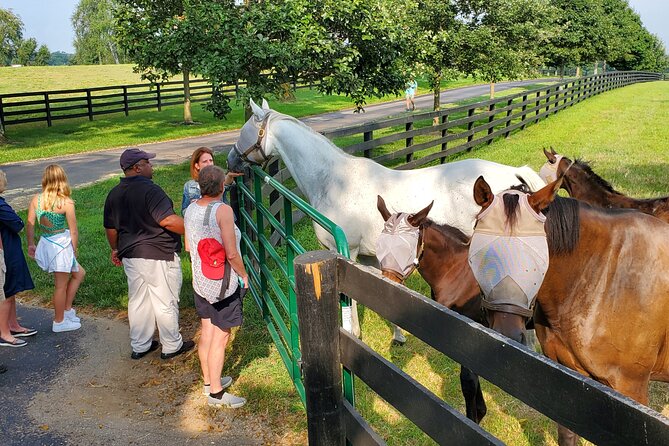 Full-Day Lexington Farm Tour with Clay Pigeon Shooting - Why this Lexington day feels different