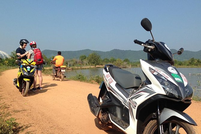 Full Day Pepper Farm Adventure by Scooter - Riding past Kampot’s rice paddies