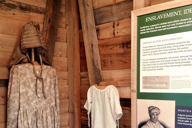 Full Day Plantation and Swamp Tour in New Orleans - Oak Alley and the beauty built on forced labor