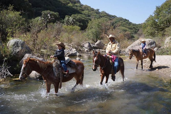 Full-Day Ranch Adventure and Horseback Riding Tour - Is this suitable for families and first-time riders?
