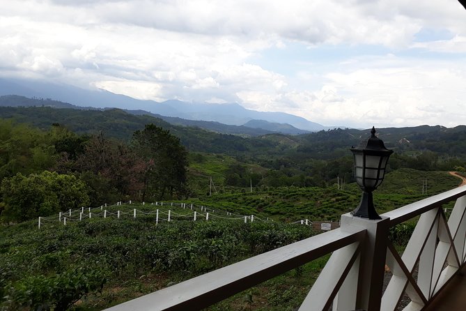 Full Day Sabah Tea Plantation & WWII Memorial - The morning road into Sabah’s mountain country