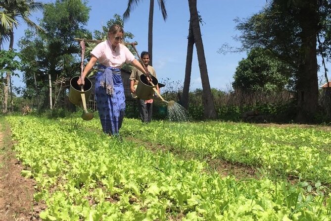 Full Day Siem Reap Farm Tour with Cooking Class and Monk Blessing - Key points to know before you book