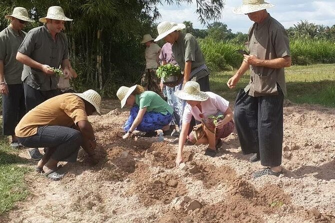 Full Day Siem Reap Farm Tour with Cooking Class and Monk Blessing - Who will enjoy this day most