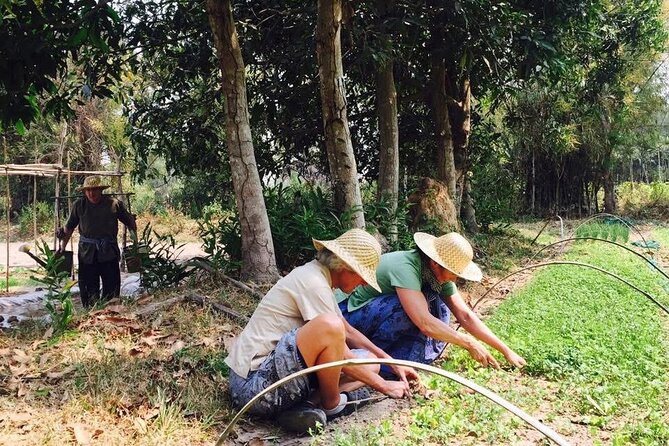 Full Day Siem Reap Farm Tour with Cooking Class and Monk Blessing - The 8:00 AM start and tuk tuk ride to Krabei Riel