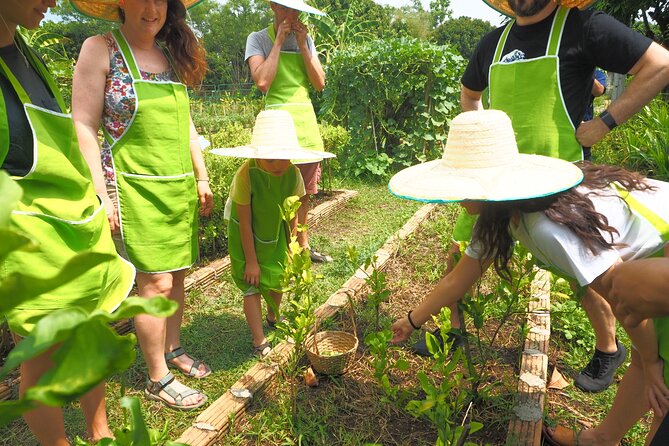 Full Day Thai Cooking at Farm (Chiang Mai) - 8:00 am pickup and the local market stop