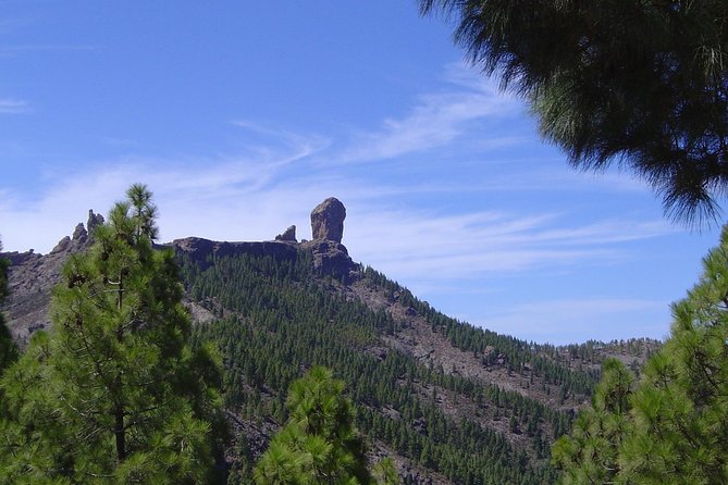 Full-Day Tour Exploring History, Nature and Aloe Vera Farm - Agüimes and the island’s early settlements