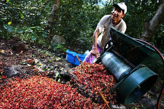 Full-Day Tour Llano Grande Waterfalls and Coffee Plantation in Huatulco! - How the $100 price compares with the day you receive