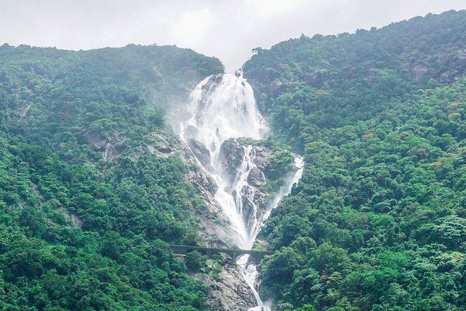 Full-Day Tour Old Goa Dudhsagar Falls and Spice Plantation - Key points before you book