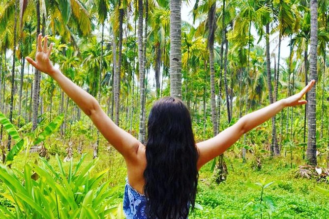 Full-Day Tour Old Goa Dudhsagar Falls and Spice Plantation - Guides, language, and organization