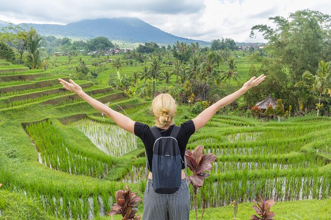 Full-Day Tour to Water Temples and UNESCO Rice Terraces in Bali - Tanah Lot at sunset, the grand finale