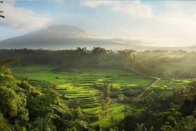 Full Day Tour to Water Temples UNESCO Rice Terraces in Bali