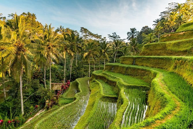 Full Day Tour to Water Temples UNESCO Rice Terraces in Bali - Ulun Danu Beratan on the lake
