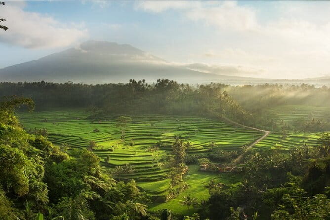 Full Day Tour to Water Temples UNESCO Rice Terraces in Bali - Jatiluwih’s 600 hectares of rice terraces