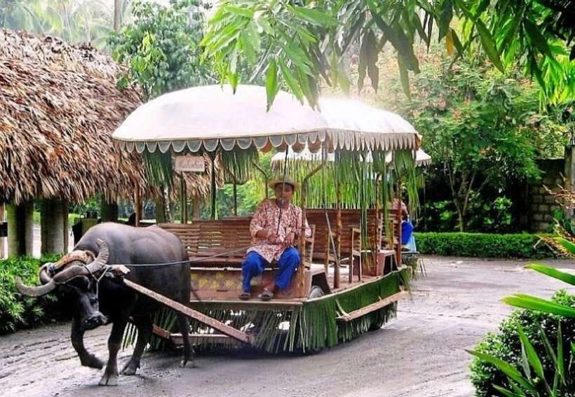 Full Day Tour Villa Escudero Plantation - A full day beyond Metro Manila