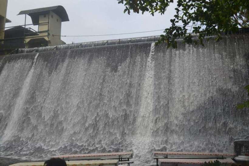 Full Day Tour Villa Escudero Plantation - Practical concerns that affect the day