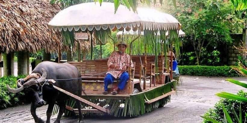 Full Day Tour Villa Escudero Plantation - Who will enjoy Villa Escudero Plantation?