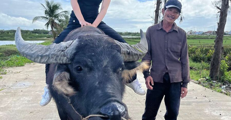 Funny day Biking, Farming, Buffalo riding and Basket boat - What makes this Hoi An countryside tour worth considering