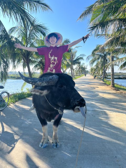 Funny day Biking, Farming, Buffalo riding and Basket boat - From Hoi An Post Office to the rice fields