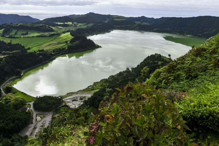 Furnas: Tea Plantations, Lake and Volcano Guided Tour - Tea and quiet roads at Gorreana