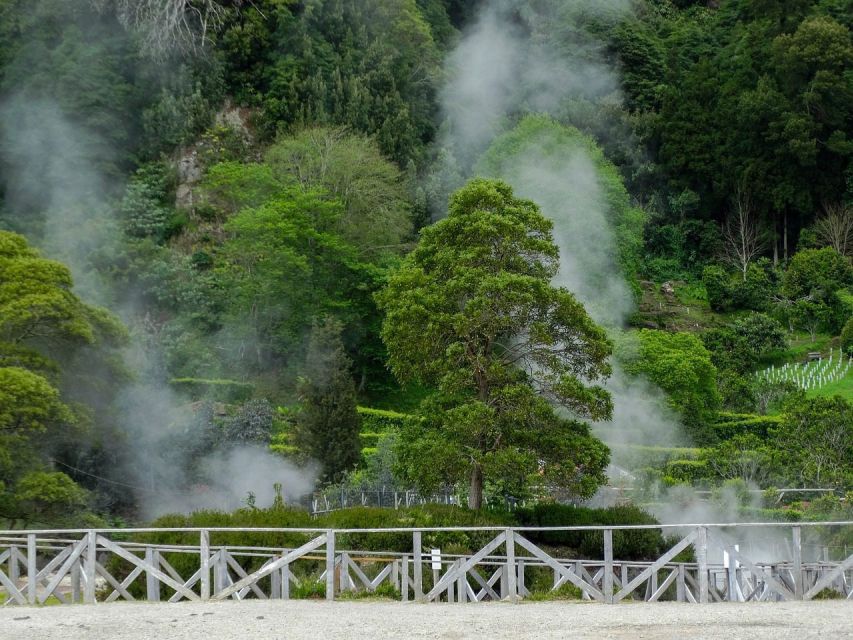 Furnas: Thermal Springs & Tea Plantation Day Tour with Lunch - Key details at a glance