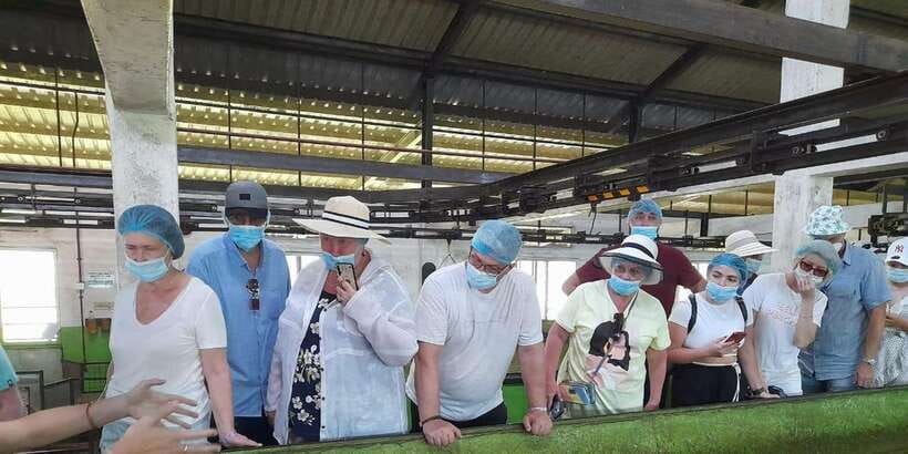 Galle Day Tour with River Safari,Sea Turtle & Tea Plantation - Walking through Galle Fort’s Portuguese and Dutch past
