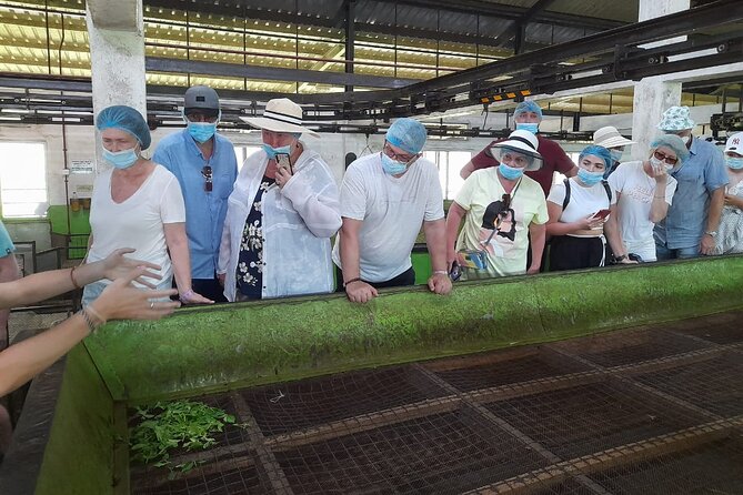 Galle Day Tour with River Safari, Tea Plantation & Sea Turtle - Kosgoda turtle conservation in 30 minutes