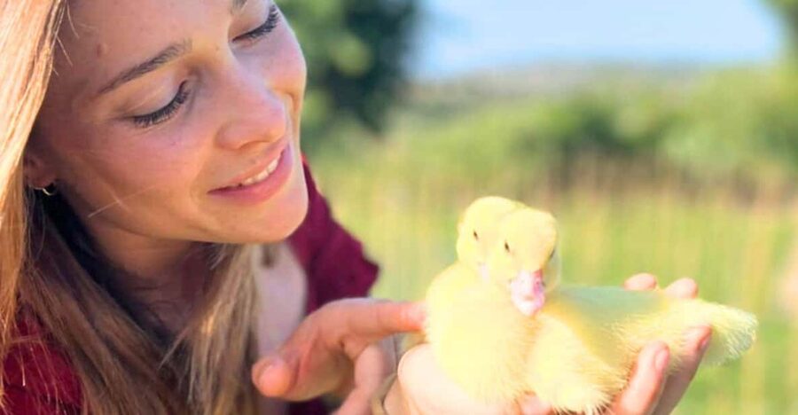 Gallura: Picnic on a Farm with Animals - Key points to know before you go