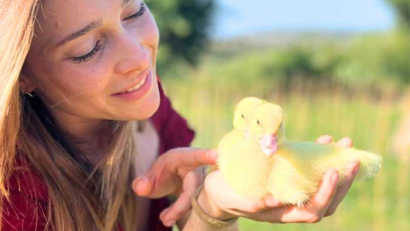 Gallura: Picnic on a Farm with Animals - A small refuge near Olbia and the sea