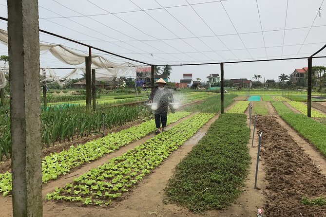 Gardening at Tra Que Vegetable Village and cooking class - Is $45 a good value?