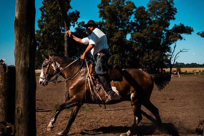 Gaucho Day Trip from Buenos Aires: Santa Susana Ranch - Empanadas, wine, and the ranch welcome