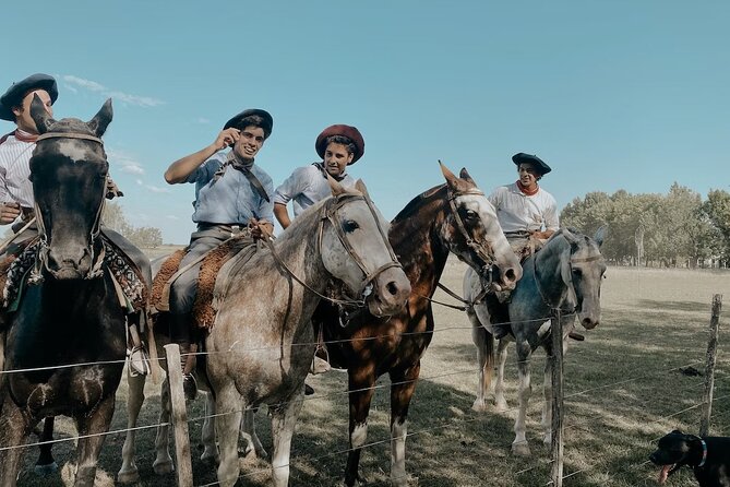 Gaucho Experience: A Day Trip to Don Silvano Ranch - Welcome empanadas, wine, and a first look at Don Silvano