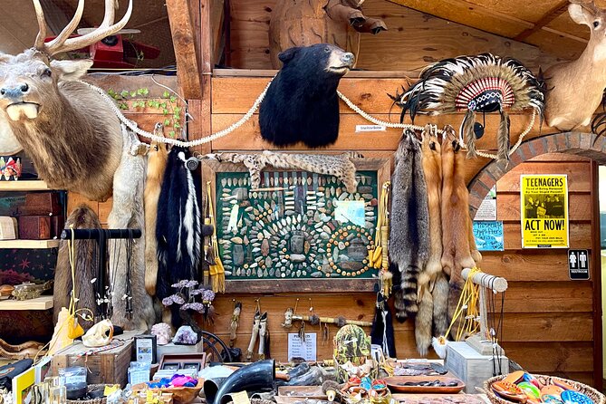 Gem Mining and Goat Farm Walking Tour in Hendersonville - How to Use Your Time Well