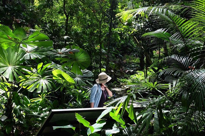 George Town Highlights & Upside Down Museum tours (4 Hours) - Coffee Tree, white coffee, and Crown Pewter