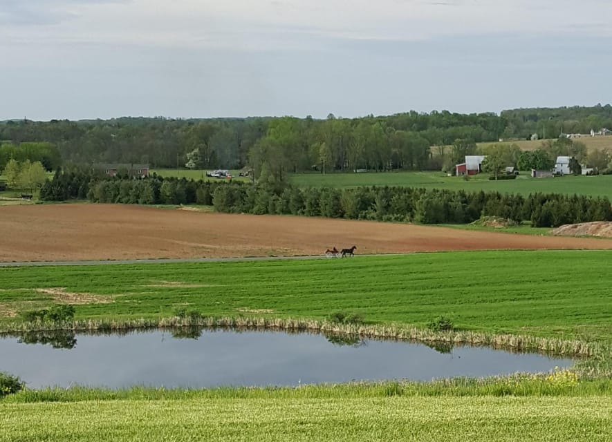 Gettysburg: Horse-Drawn Carriage Tour Countryside & Orchards - Practical details that affect your visit