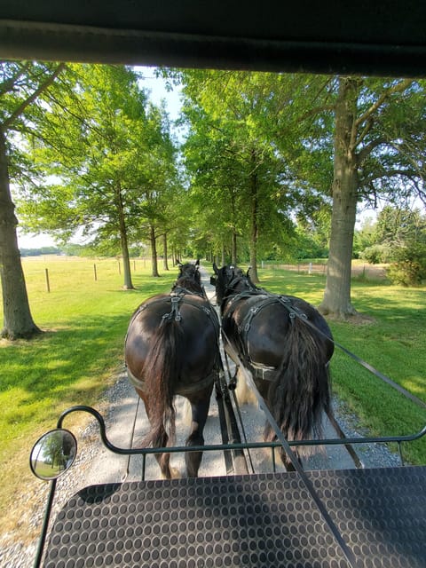Gettysburg: Horse-Drawn Carriage Tour Countryside & Orchards - Why this carriage ride makes a good Gettysburg break