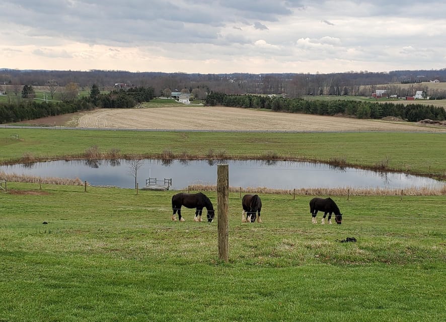 Gettysburg: Horse-Drawn Carriage Tour Countryside & Orchards - Settling into the one-hour carriage ride