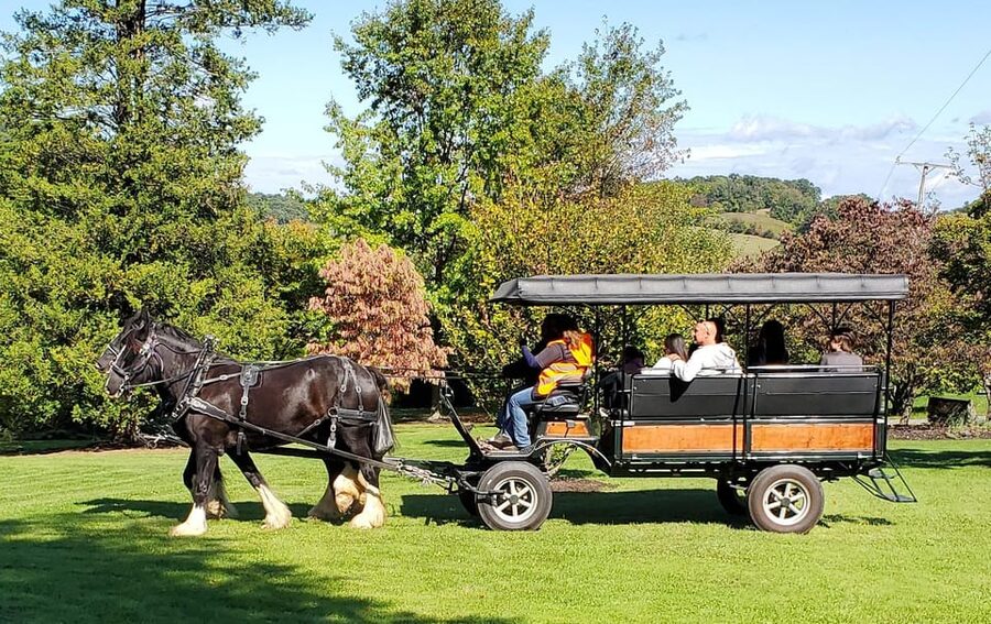 Gettysburg: Horse-Drawn Carriage Tour Countryside & Orchards - Through two working farms and Adams County orchards