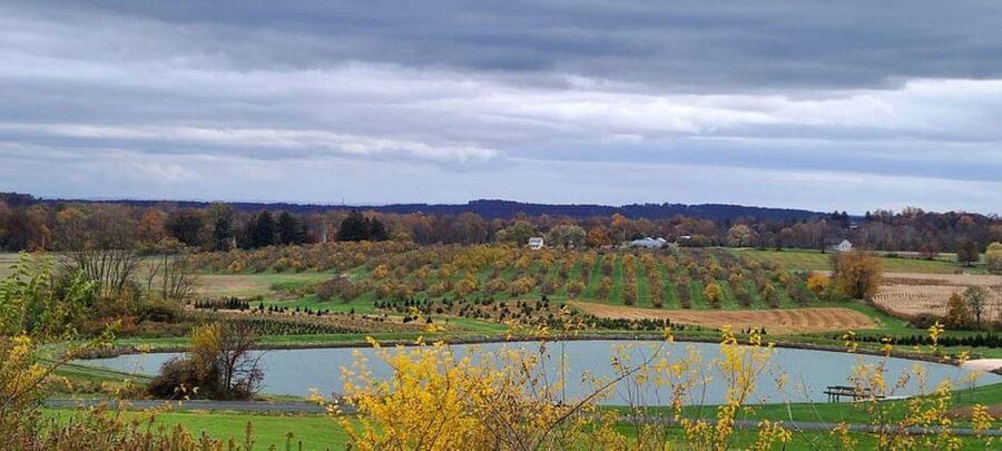 Gettysburg: Horse-Drawn Carriage Tour Countryside & Orchards - The mountain view and the best photo stop