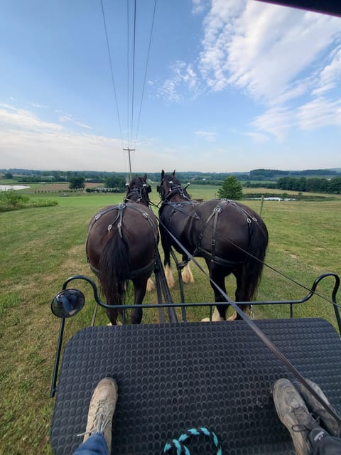 Gettysburg: Horse-Drawn Carriage Tour Countryside & Orchards - Who will enjoy this experience most