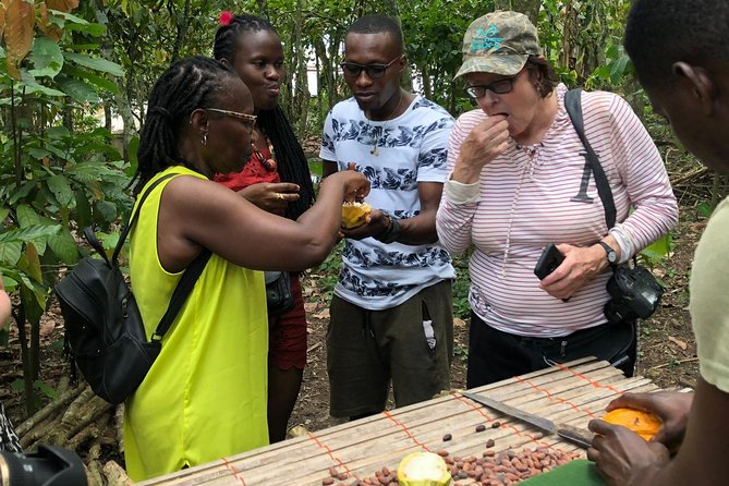 Ghana Eastern Explorer - Boti Falls, Aburi Gardens & Tetther Quarshie Cocoa Farm - Why Eastern Ghana Makes a Good Day Trip