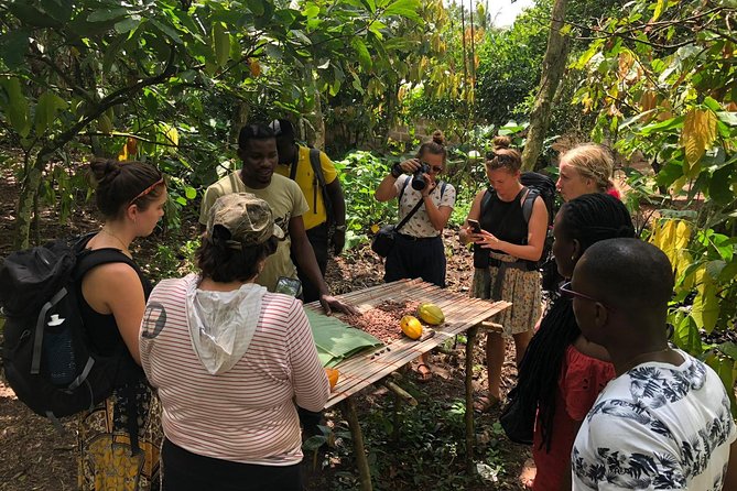 Ghana Eastern Explorer - Boti Falls, Aburi Gardens & Tetther Quarshie Cocoa Farm - Boti Falls and the Twin Waterfall Story