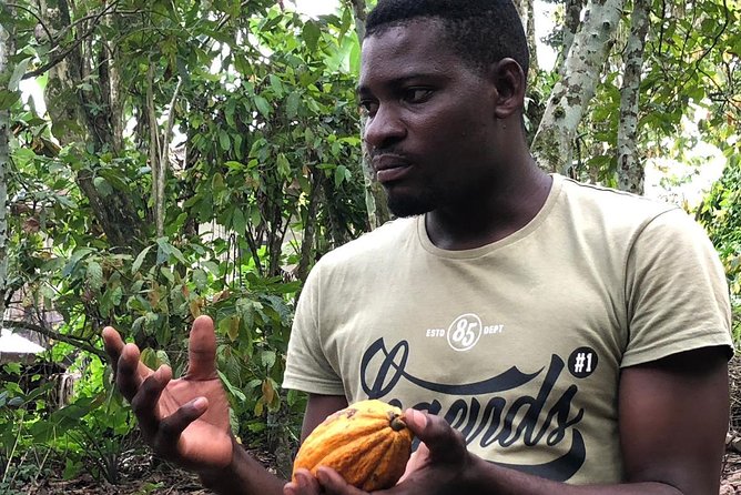 Ghana Eastern Explorer - Boti Falls, Aburi Gardens & Tetther Quarshie Cocoa Farm - Transport, Food, and the Real Value of $190