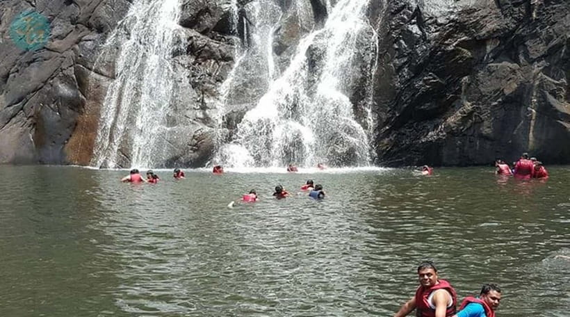 Goa: Dudhsagar Waterfall, Jeep Safari and Spice Plantation - Key points to know before booking