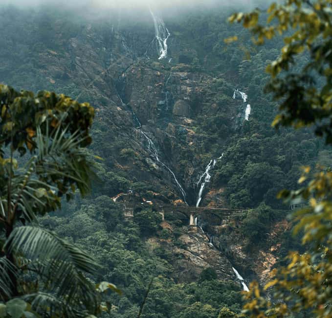 Goa: SIC Dudhsagar Waterfall and Spice Plantation Day Tour - A Goan buffet with vegetarian and non-vegetarian choices