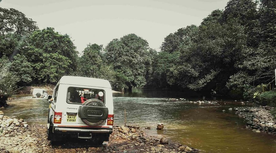 Goa: SIC Dudhsagar Waterfall and Spice Plantation Day Tour - Is $41 good value?