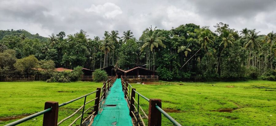 Goa: Spice Plantation Tour and Traditional Local Lunch - Leaving the beaches for Ponda