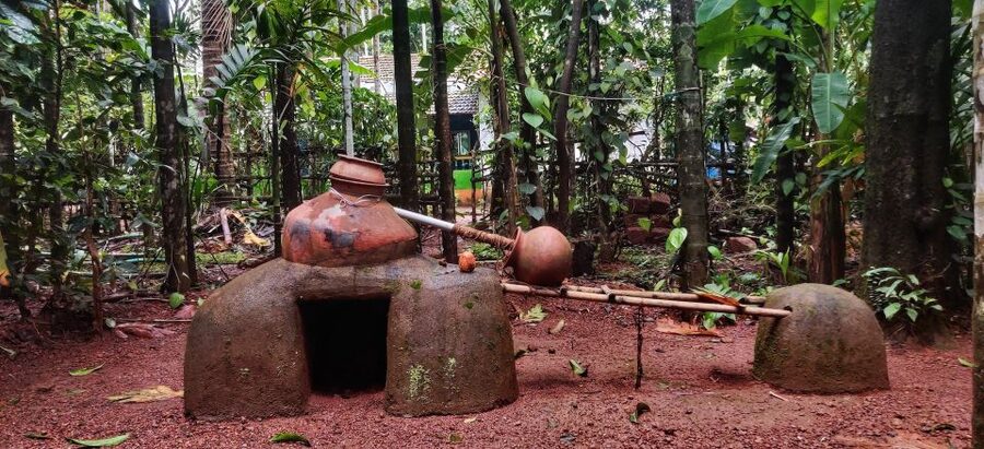 Goa: Spice Plantation Tour and Traditional Local Lunch - What $60 gets you