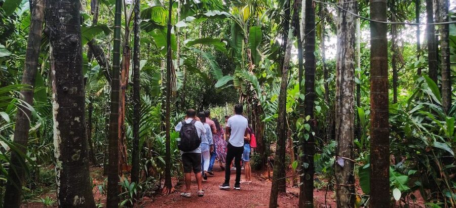 Goa: Spice Plantation Tour and Traditional Local Lunch - Who will enjoy this outing