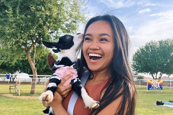 Goat and Alpaca Sound Bath - Gilbert Arizona - What this Gilbert sound bath is really like